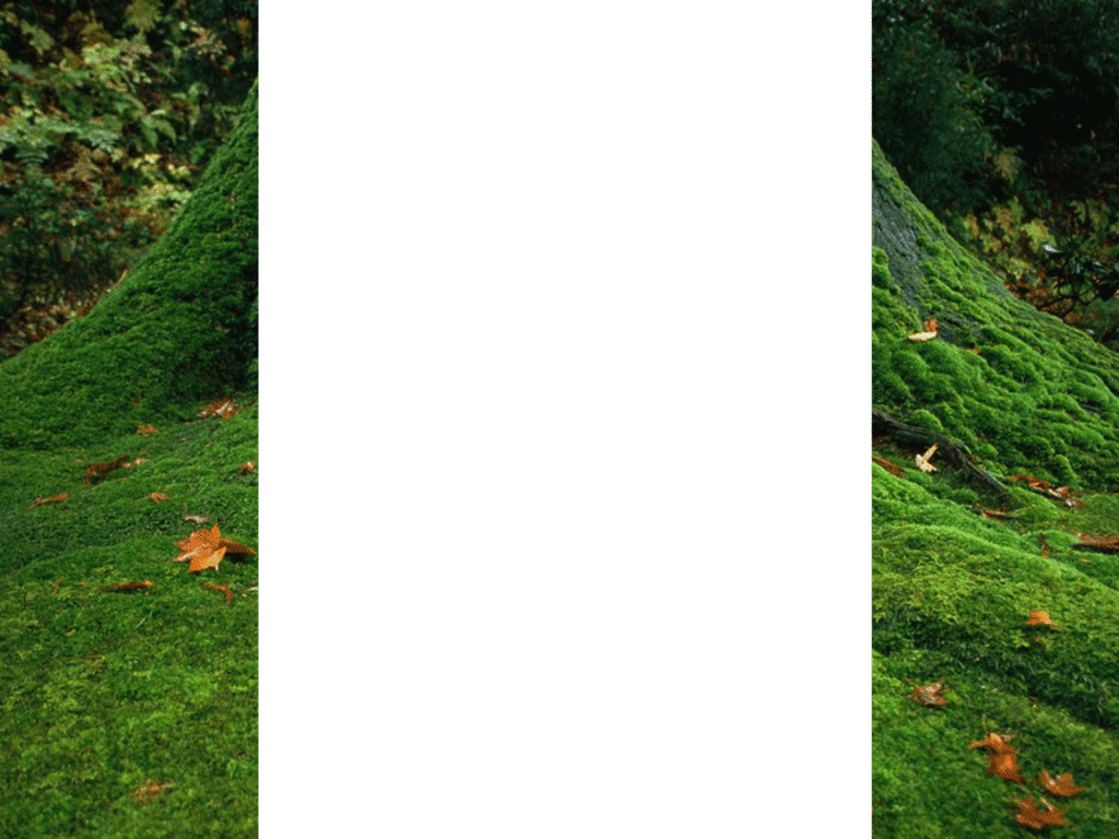 Ecotherapy Learning Certifications, Degrees